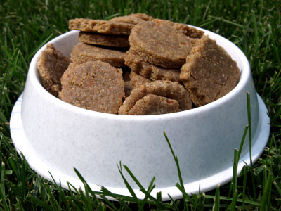 homemade puppy treats
