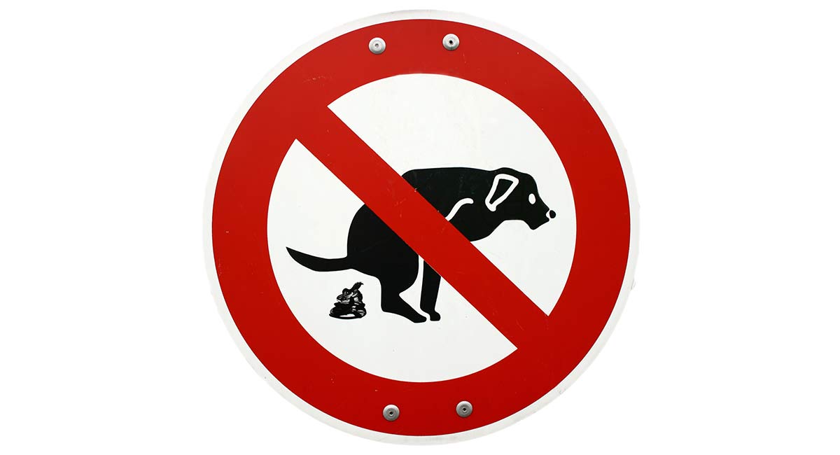 Dog Poop Disposal Where Do You Put Yours