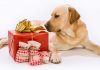 gifts for dog lovers
