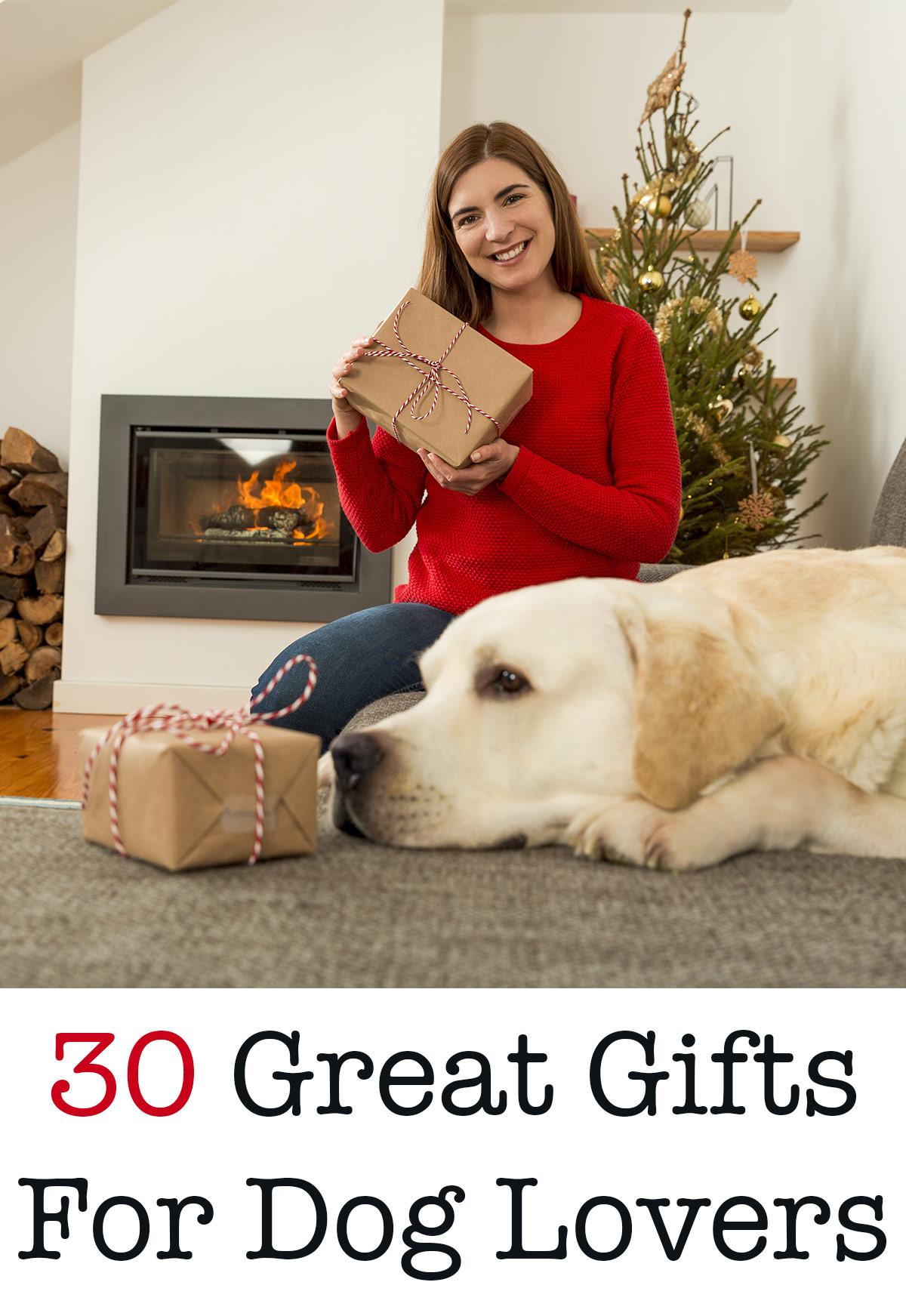 christmas presents for dog owners