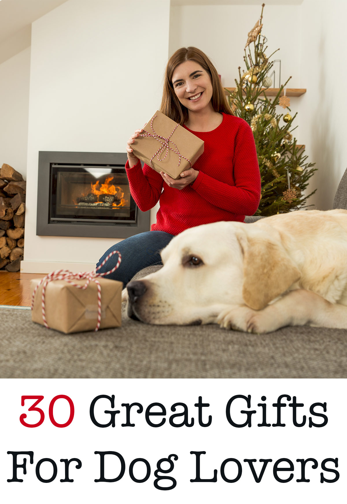 best gifts for pet lovers