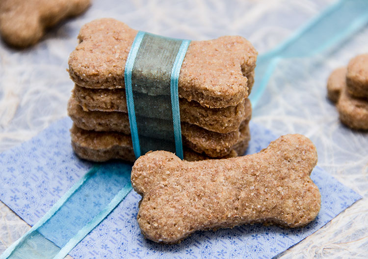 Homemade Puppy Treats Diy Recipes For Healthy Puppy Treats