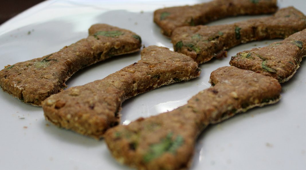 Homemade Puppy Treats DIY Recipes For Healthy Puppy Treats