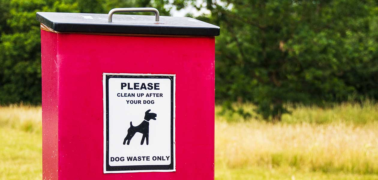 how do you properly dispose of dog poop