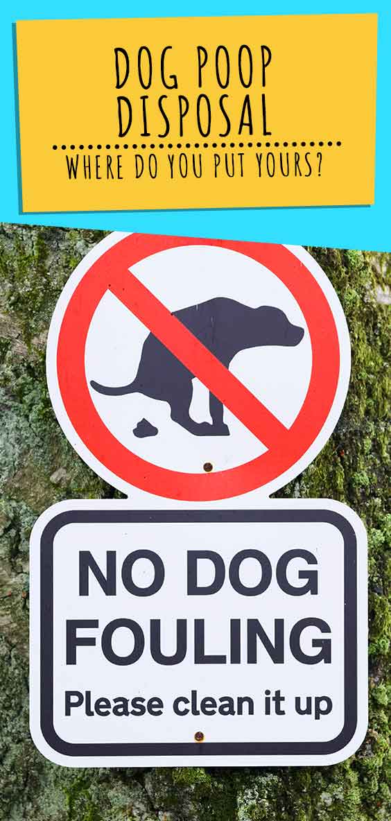 dog poop disposal