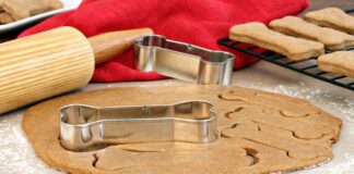 Homemade Puppy Treats - DIY Recipes For Healthy Puppy Treats