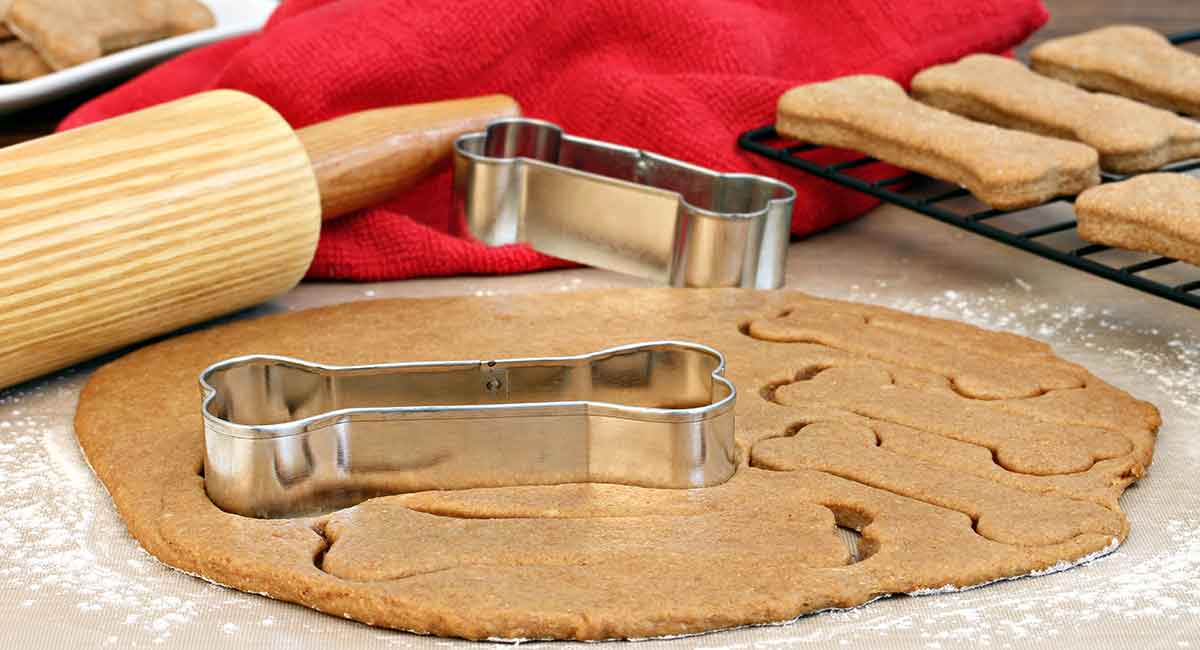 diy doggy treats