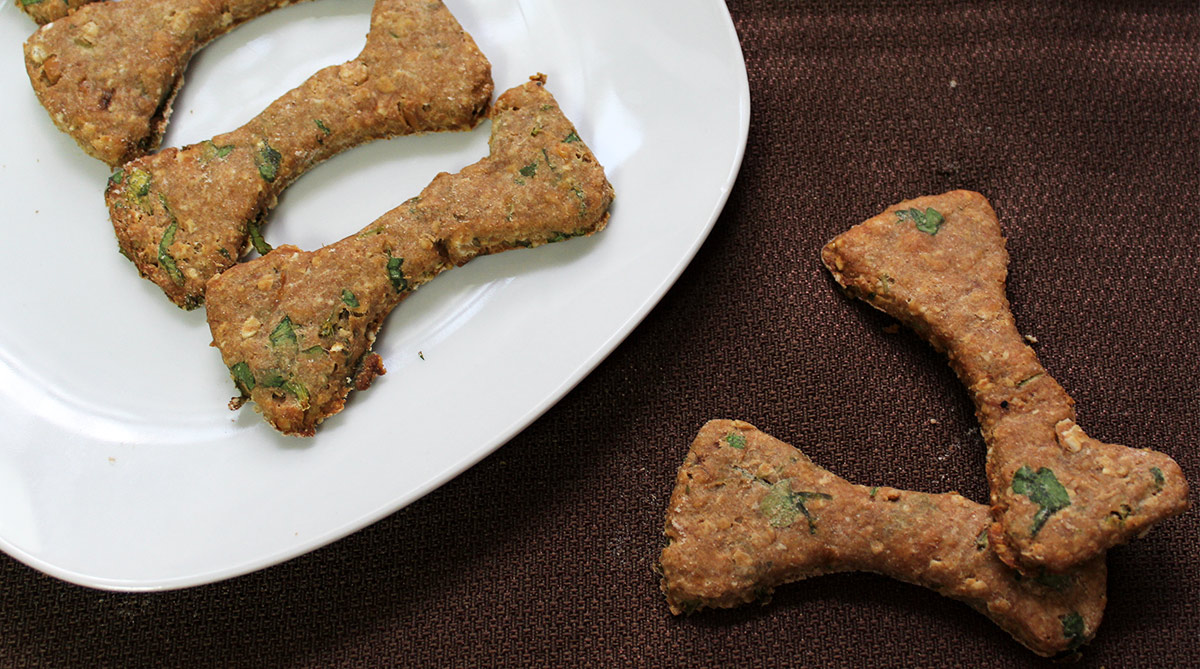 The Best Homemade Puppy Treats Top Recipes For Healthy