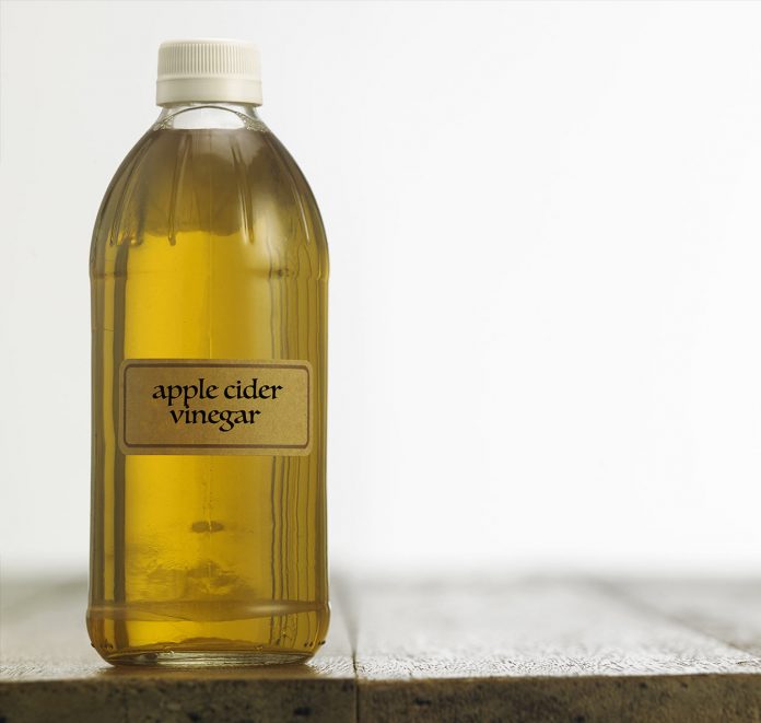 Apple Cider Vinegar For Dogs Does It Really Work?