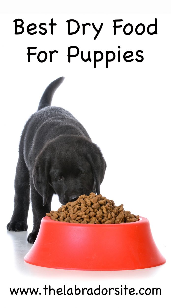 Best Dry Puppy Food The Top Choices For Large And Small Puppies