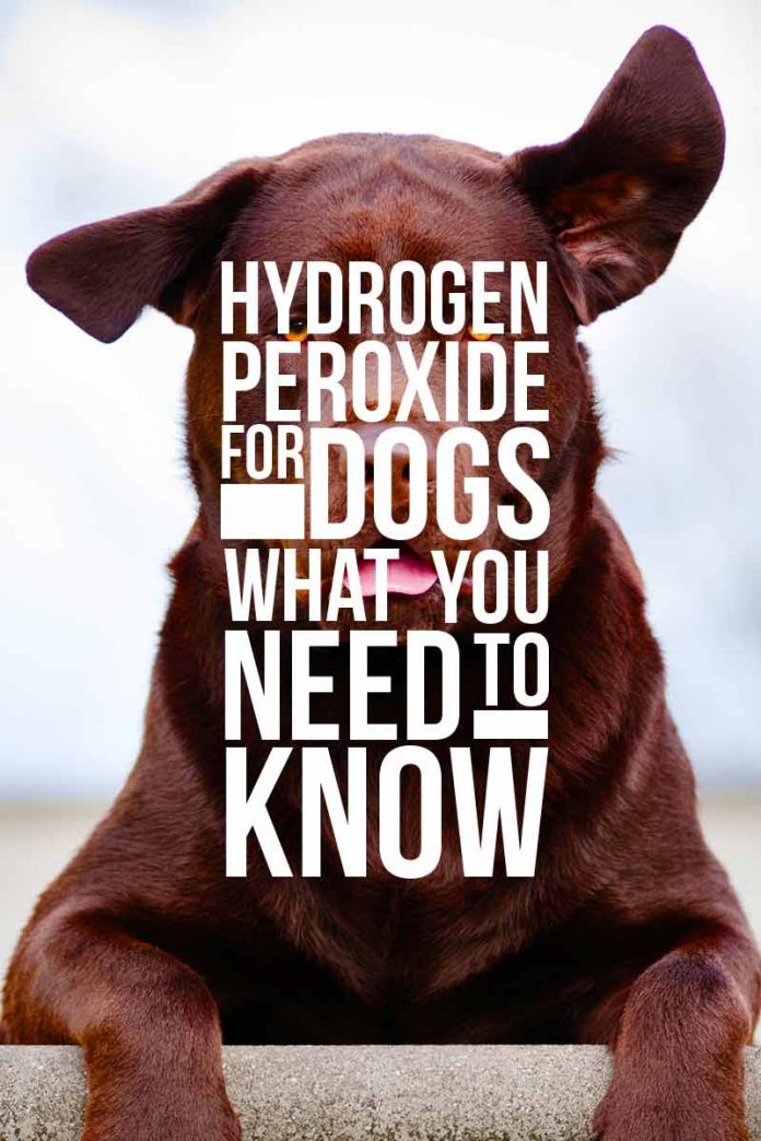Hydrogen Peroxide For Dogs Ears, Wounds, Tear Stains Or Inducing Vomit