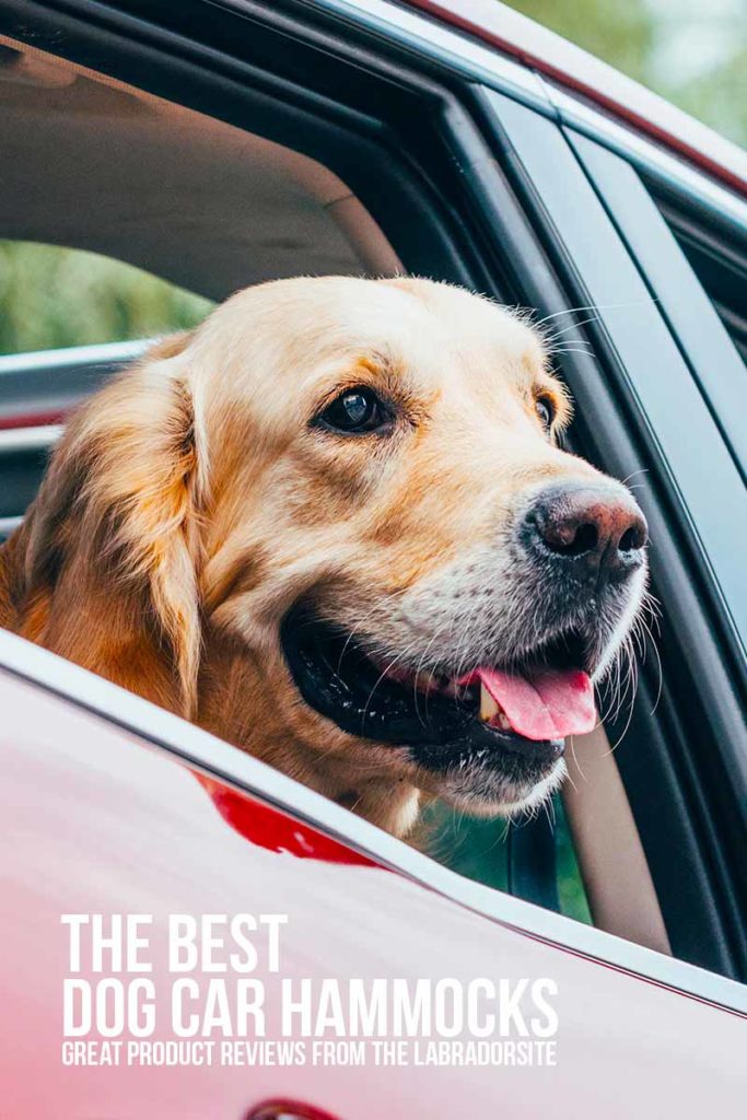 Best Dog Car Hammock Options Top Options Reviewed!