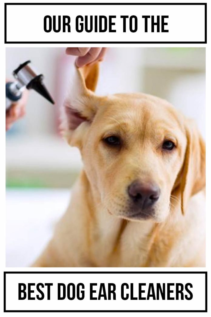 Dog Ear Cleaner Which One Is Best And How To Use It Safely