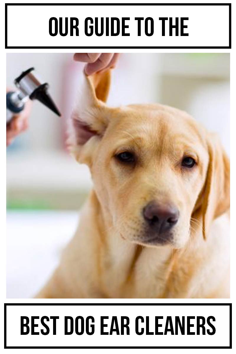 Our guide to the best dog ear cleaners - Dog health and care products.