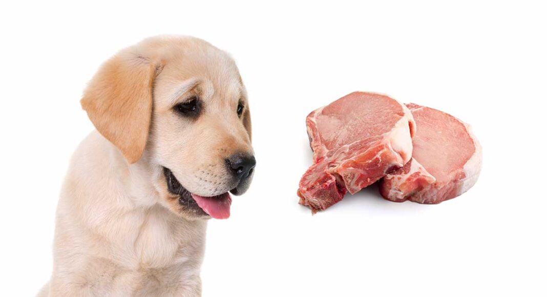 Can Dogs Eat Pork? A Guide To Pork Bones, Ribs And Meat For Dogs