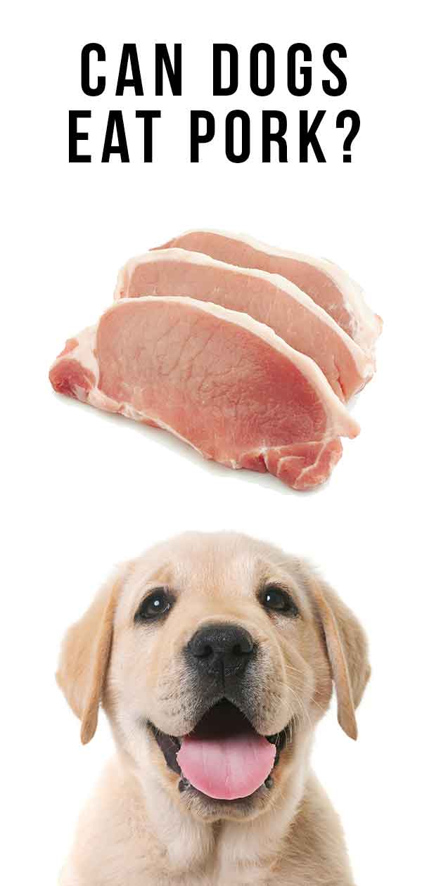 is pork rib bones good for dogs