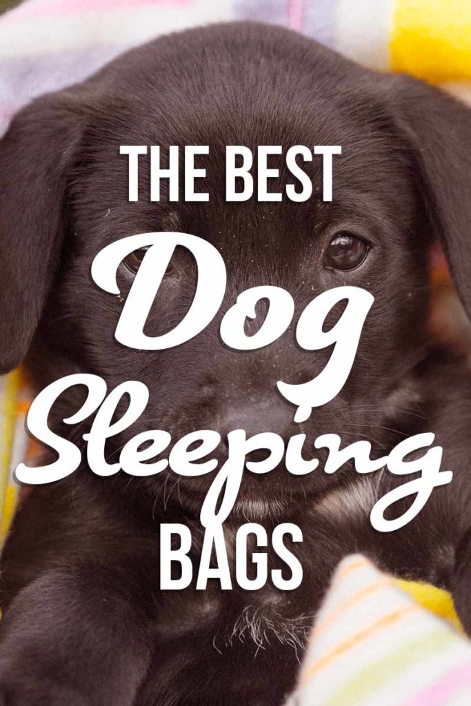 Best Dog Sleeping Bag Choosing The Right Bed For Your Pet