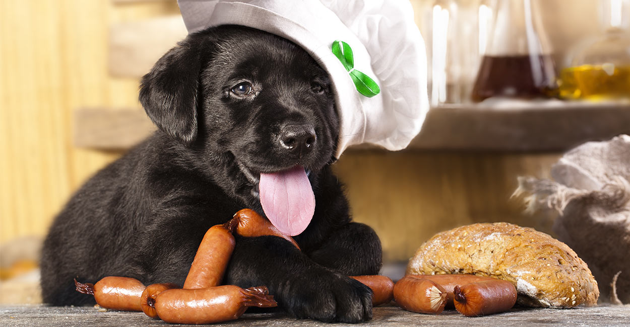 can dogs eat pork sausage?