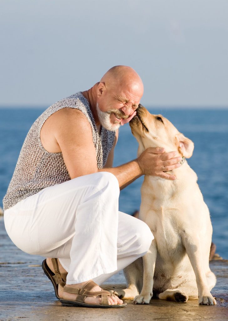 do dogs like when humans kiss them