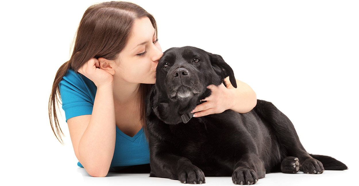 Do dogs like kisses?