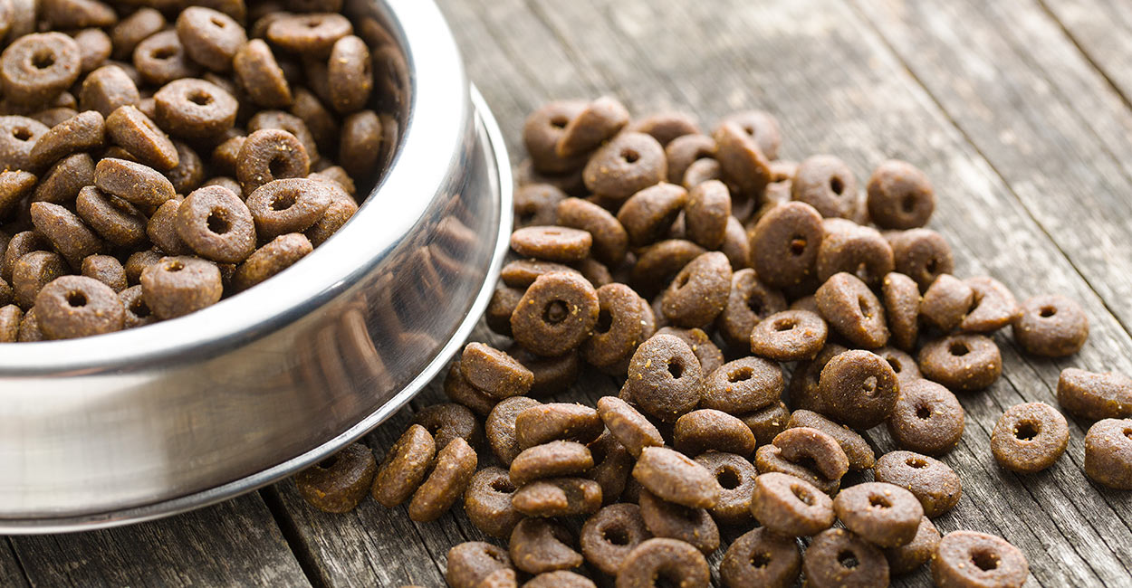 Choosing The Best Dog Food Container To Meet Your Storage Needs
