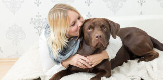 do dogs like kisses