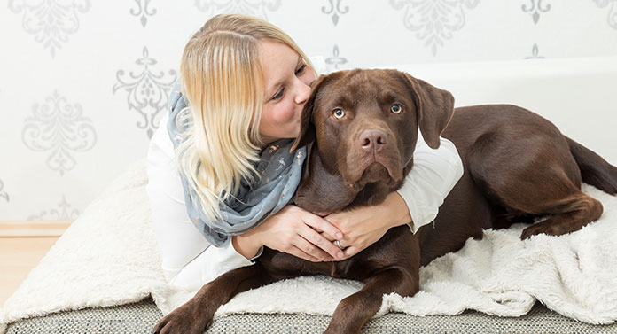 do dogs like when humans kiss them