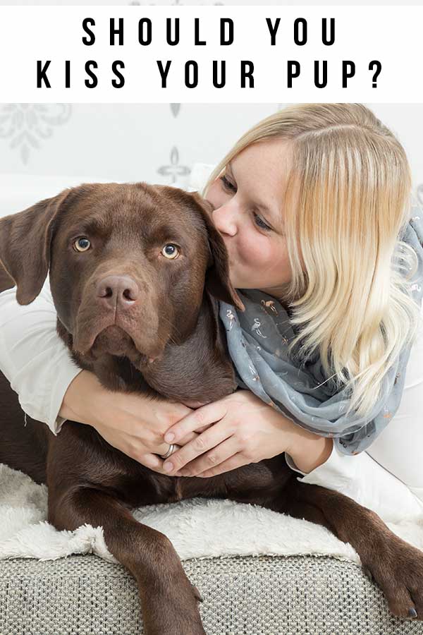 do dogs like kisses