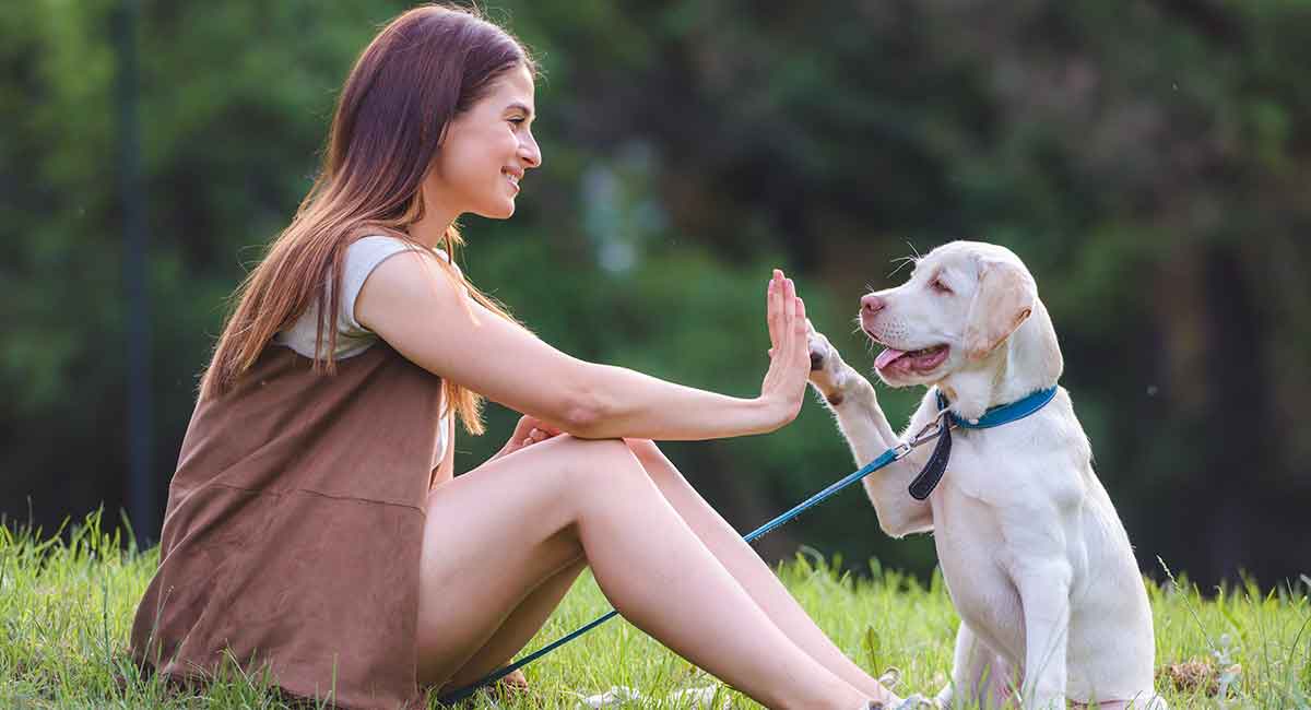 My Wife Love Dog Telegraph