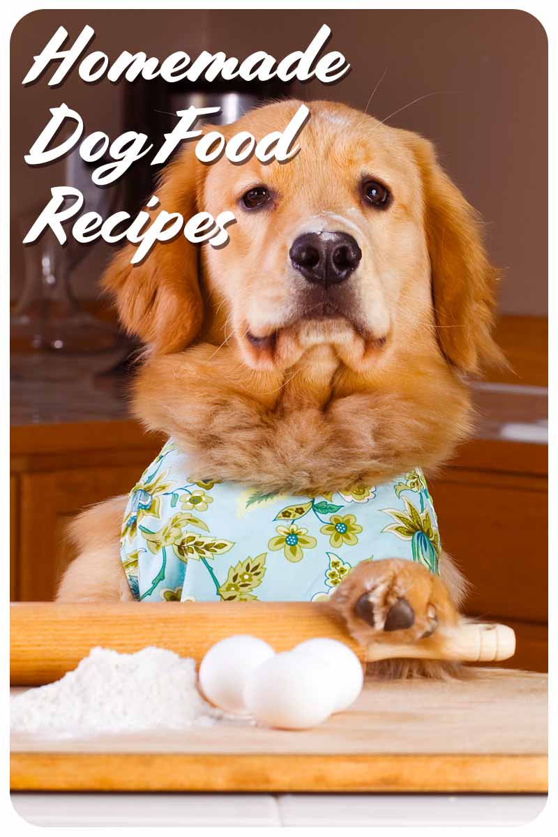 Homemade Dog Food Recipes - Great recipes for dog chefs.