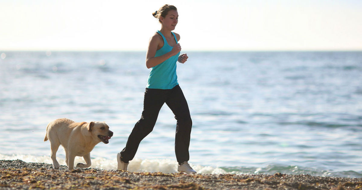 Best Running Dogs Ideal Companions for Staying Fit with You