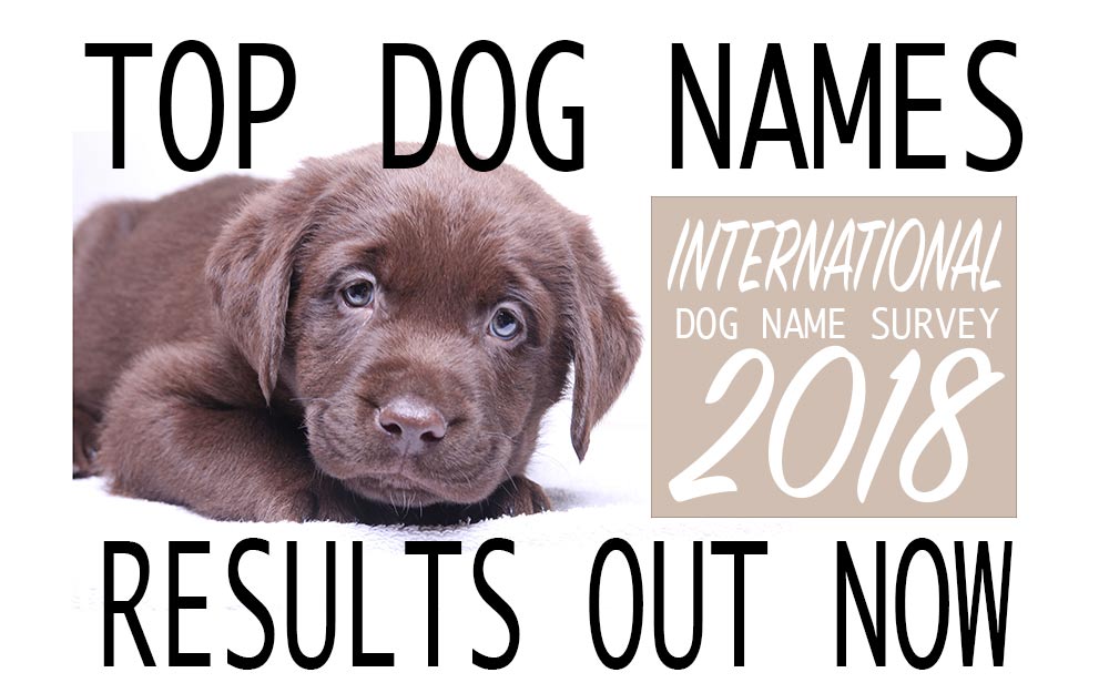 Dog Names The Top Dog Names In 2021 Hundreds of Awesome Ideas