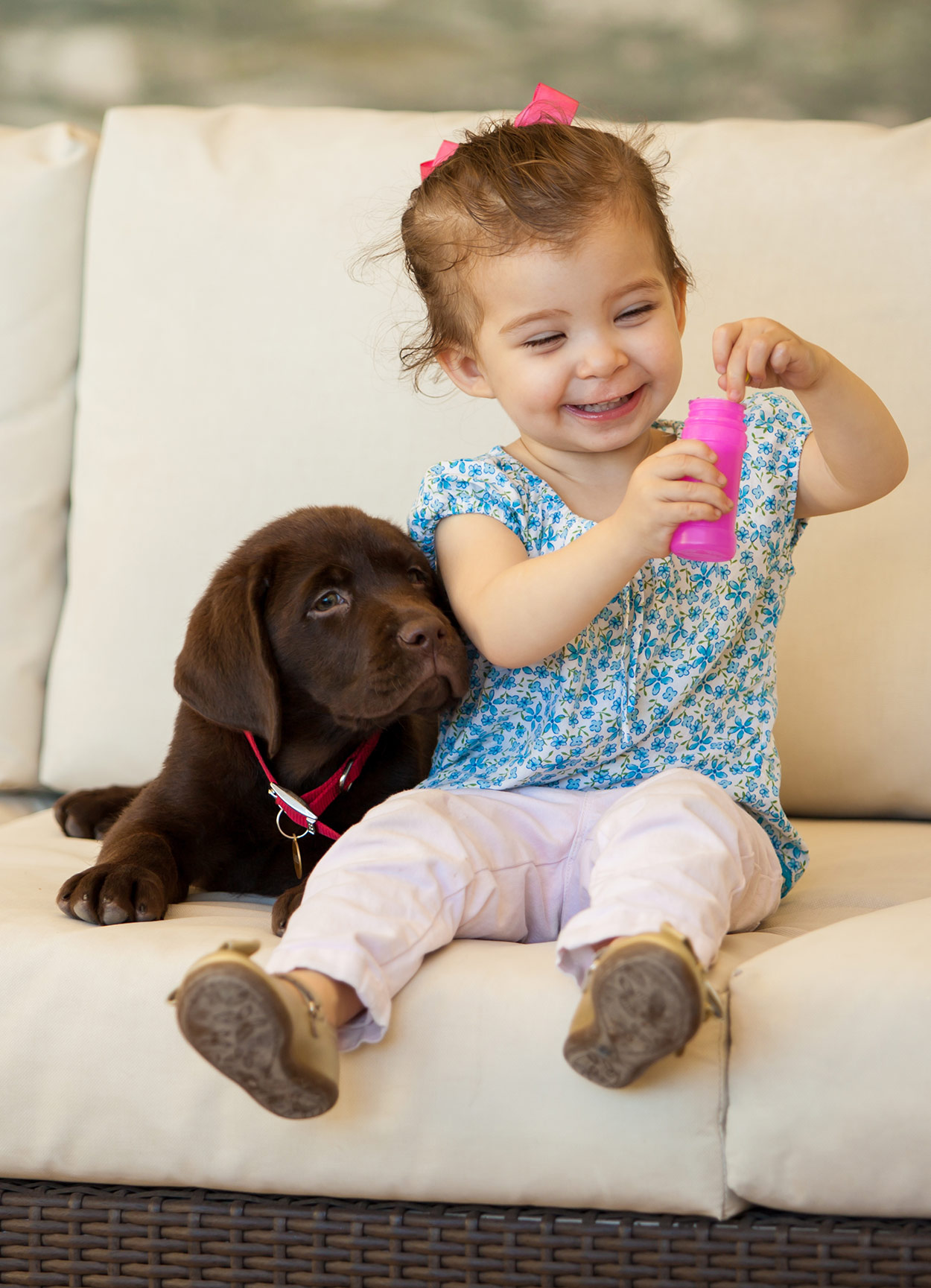 dogs and babies