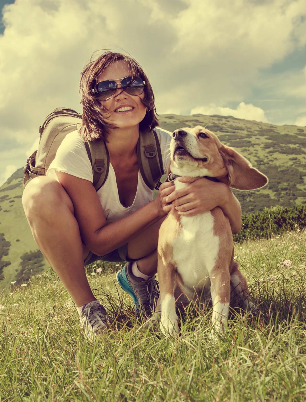 Best Hiking Dogs For Long Trips Into The Wilderness!