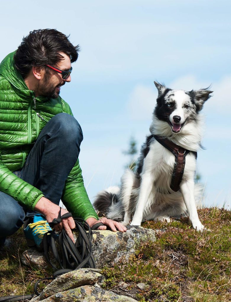 Best Hiking Dogs For Long Trips Into The Wilderness!