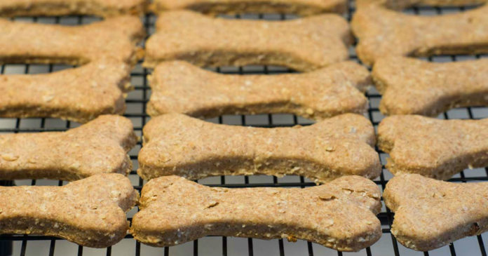 homemade dog biscuits