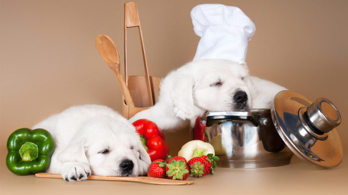 Homemade dog food recipes can be healthy for your pup.