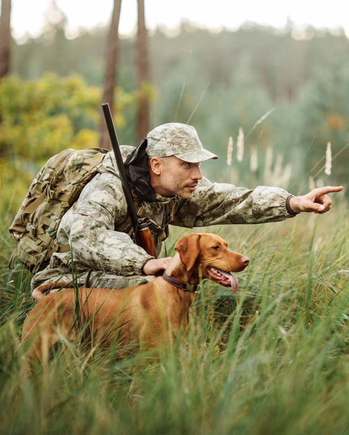 Hunting Dog Breeds Find The Perfect Hunting Dog For Your Family
