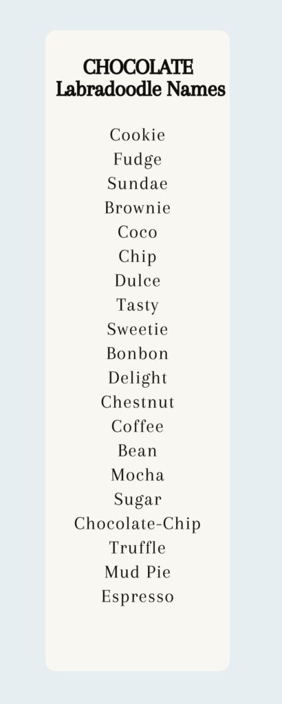 chocolate labradoodle names - Cookie Fudge Sundae Brownie Coco Chip Dulce Tasty Sweetie Bonbon Delight Chestnut Coffee Bean Mocha Sugar Chocolate-Chip Truffle Mud Pie Espresso