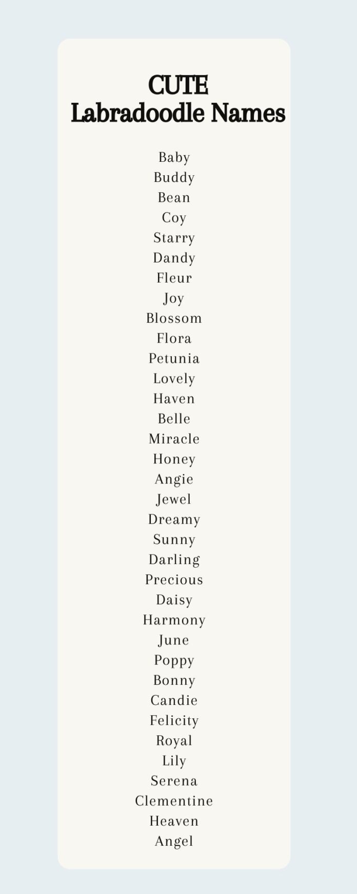 Labradoodle Names – 250 Adorable Ideas For Naming Your Puppy