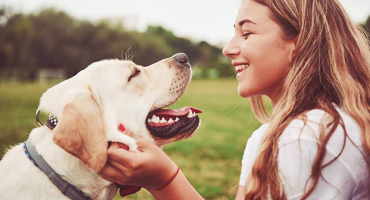 Do Dogs Have Feelings? Your Guide To Understanding Canine Emotions Do Dogs Have Feelings? Your Guide To Understanding Canine Emotions