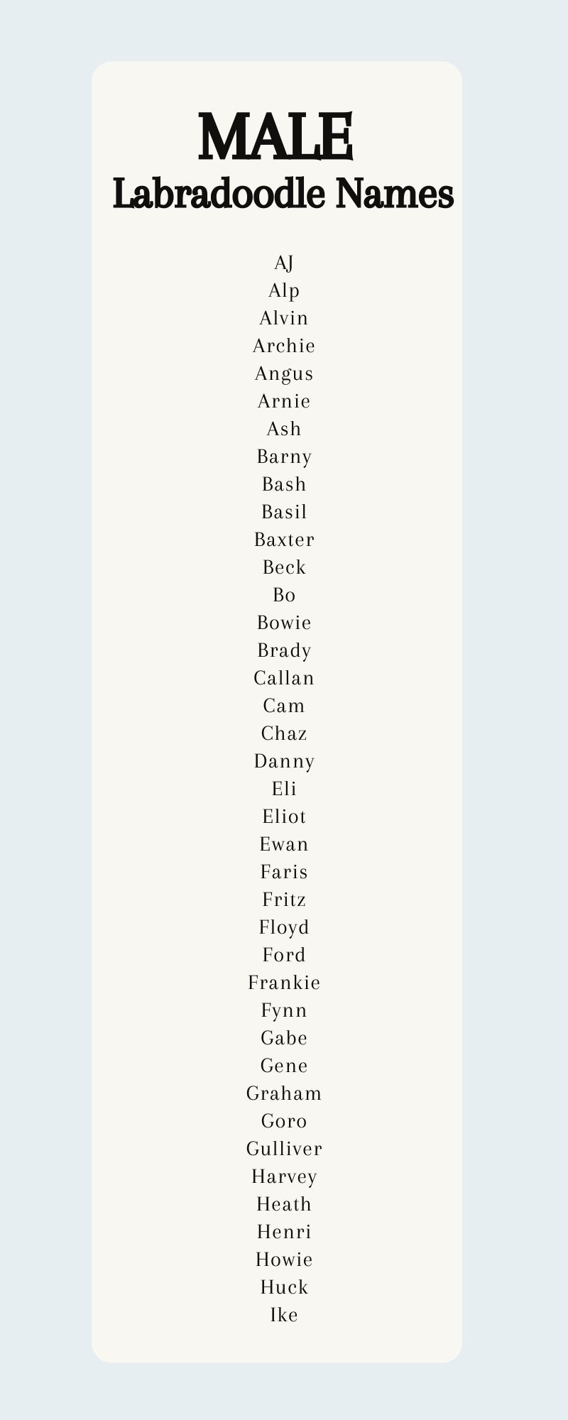 Labradoodle Names 250 Adorable Ideas For Naming Your Puppy