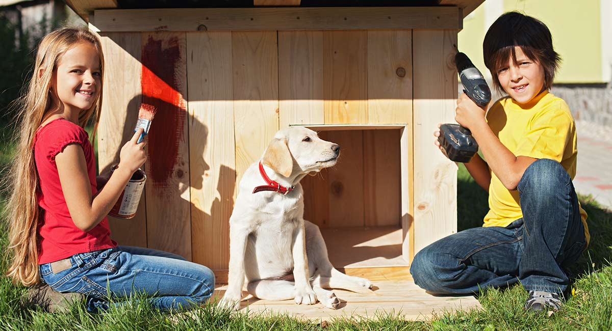 top heated dog houses