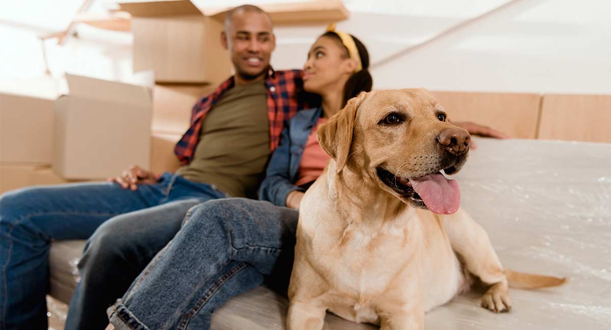 Dog Sharing Is a PartTime Pup a Good Idea?