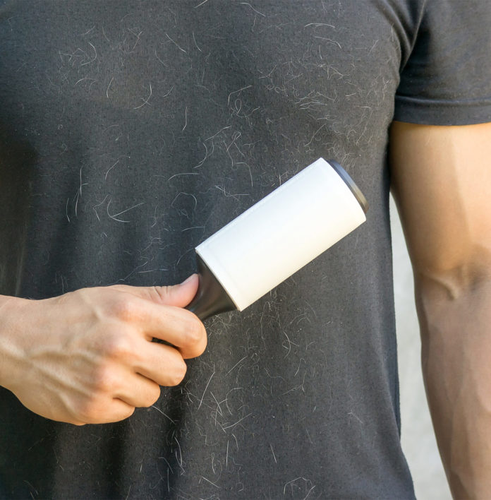 Best Pet Hair Remover Products for Furniture, Carpets and Curtains