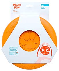 indestructible frisbee