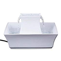 Best Dog Water Dispenser