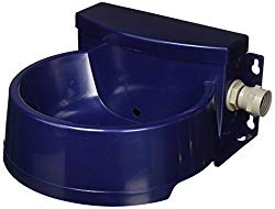 Best Dog Water Dispenser