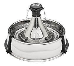 Best Dog Water Dispenser
