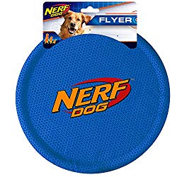 best dog frisbee uk